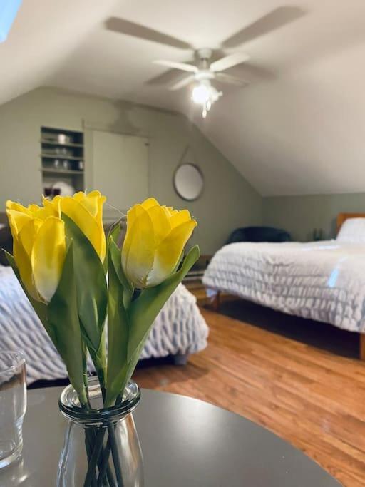 Quay Lane Studio Apartment Ballina  Extérieur photo